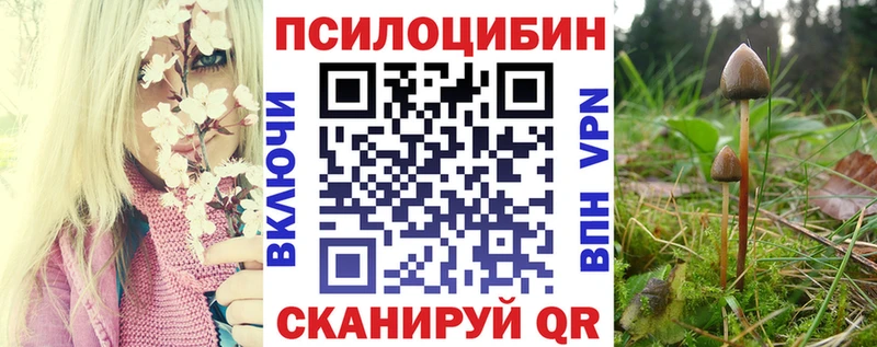 Псилоцибиновые грибы Psilocybe  Купить закладки  Большой Камень 