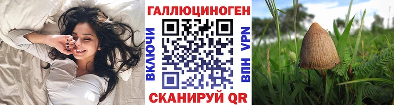Псилоцибиновые грибы ЛСД Большой Камень